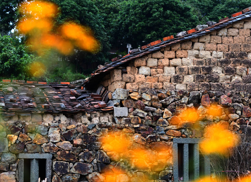 Colorful Zhangjiao Village --Stone house in Quanzhou, Fujian